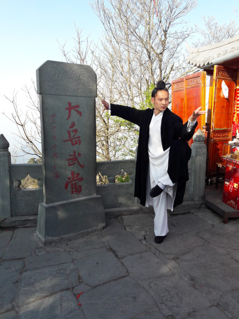 Taichi chuan Wudang à Villeurbanne