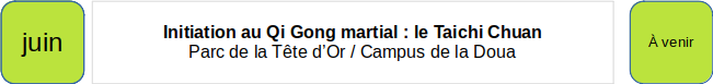 taichi chuan initiation
