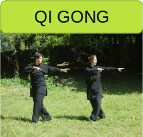 Qi gong Villeurbanne