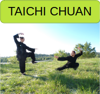 Taichi Villeurbanne