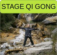 stage atelier qi gong