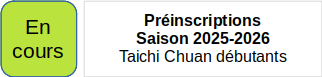 taichi chuan débutant